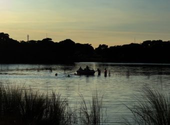 MSN_IMG_3911